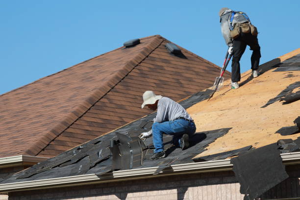 Best Skylight Installation and Repair  in Houston, MO